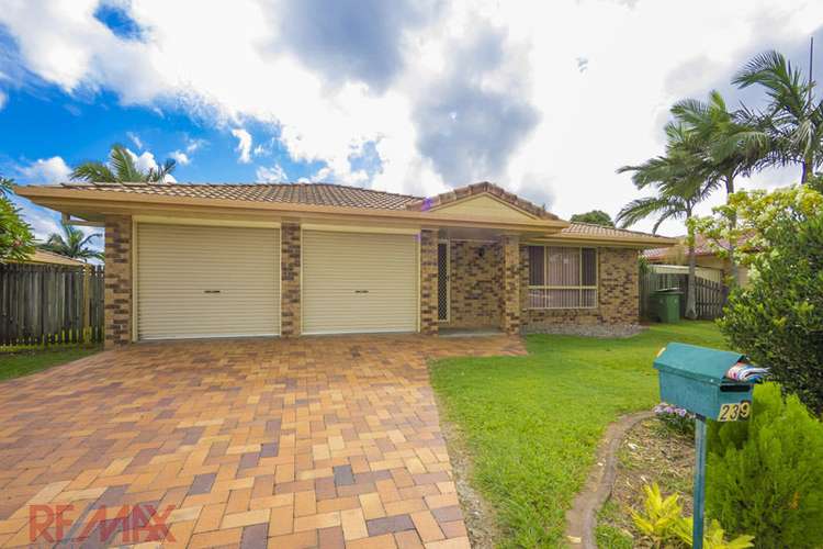 Main view of Homely house listing, 239 Dohles Rocks Road, Murrumba Downs QLD 4503