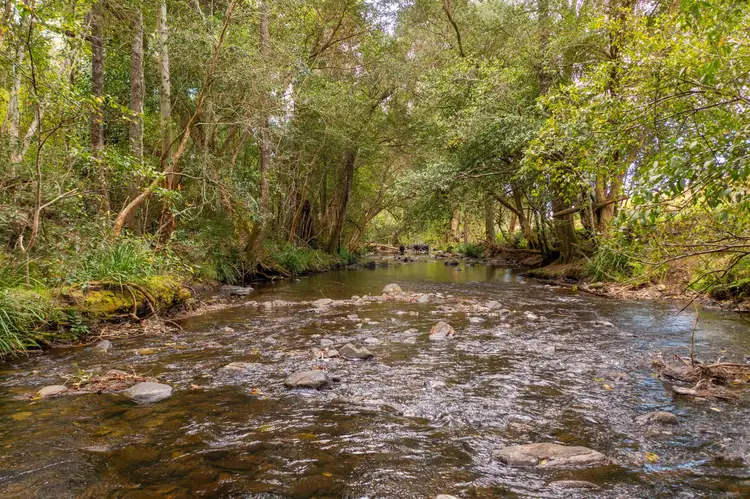 Main view of Homely rural property listing, Lot 36 8416 Oxley Highway, Mount Seaview NSW 2446