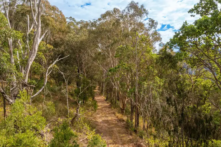 Second view of Homely rural property listing, Lot 36 8416 Oxley Highway, Mount Seaview NSW 2446