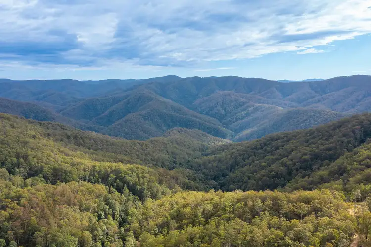 Seventh view of Homely rural property listing, Lot 36 8416 Oxley Highway, Mount Seaview NSW 2446