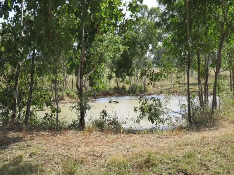 Fourth view of Homely house listing, 1424 Midge Point Rd, Midge Point QLD 4799