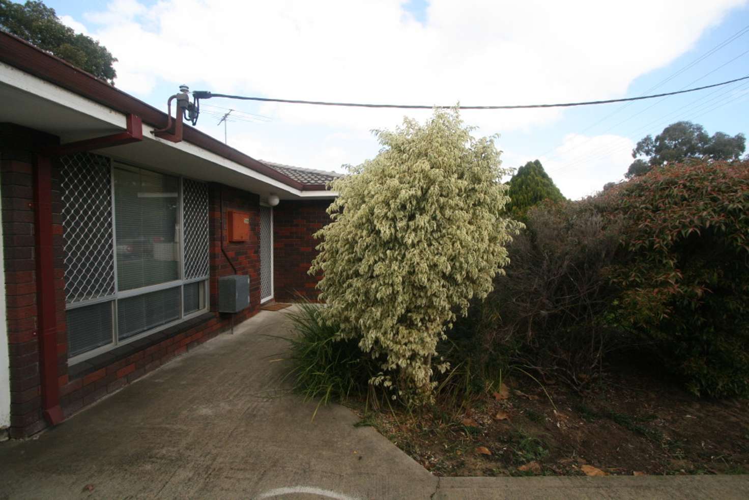 Main view of Homely house listing, 79B Whitfield Street, Bassendean WA 6054