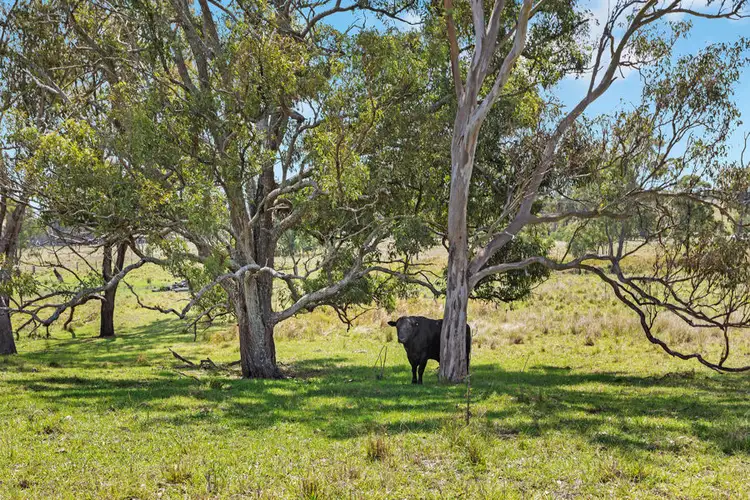Second view of Homely land listing, L123 New England Highway, Crows Nest QLD 4355