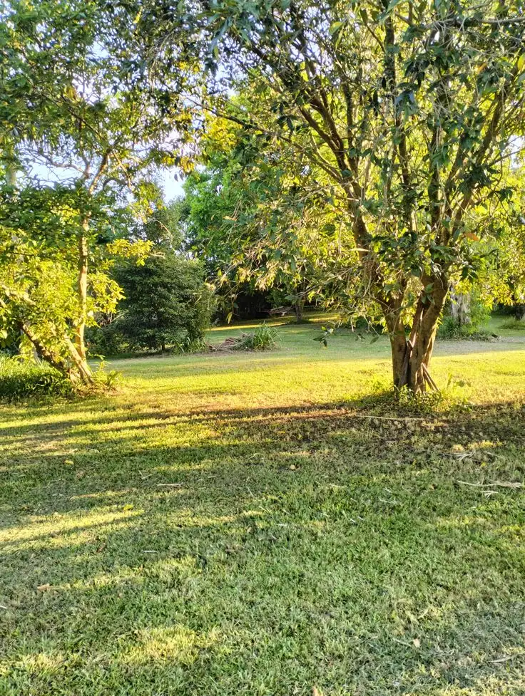 Third view of Homely house listing, 25 Sandy Point Road, Monaltrie NSW 2480