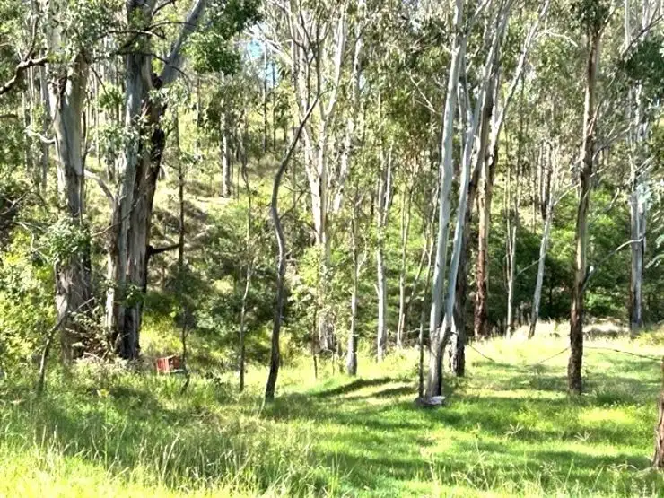 Fourth view of Homely rural property listing, 2035 Rivertree Road, Rivertree NSW 2372