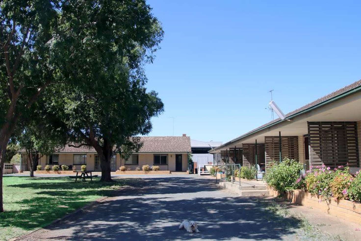 Main view of Homely house listing, 1-3 Matthews Street, Lockhart NSW 2656