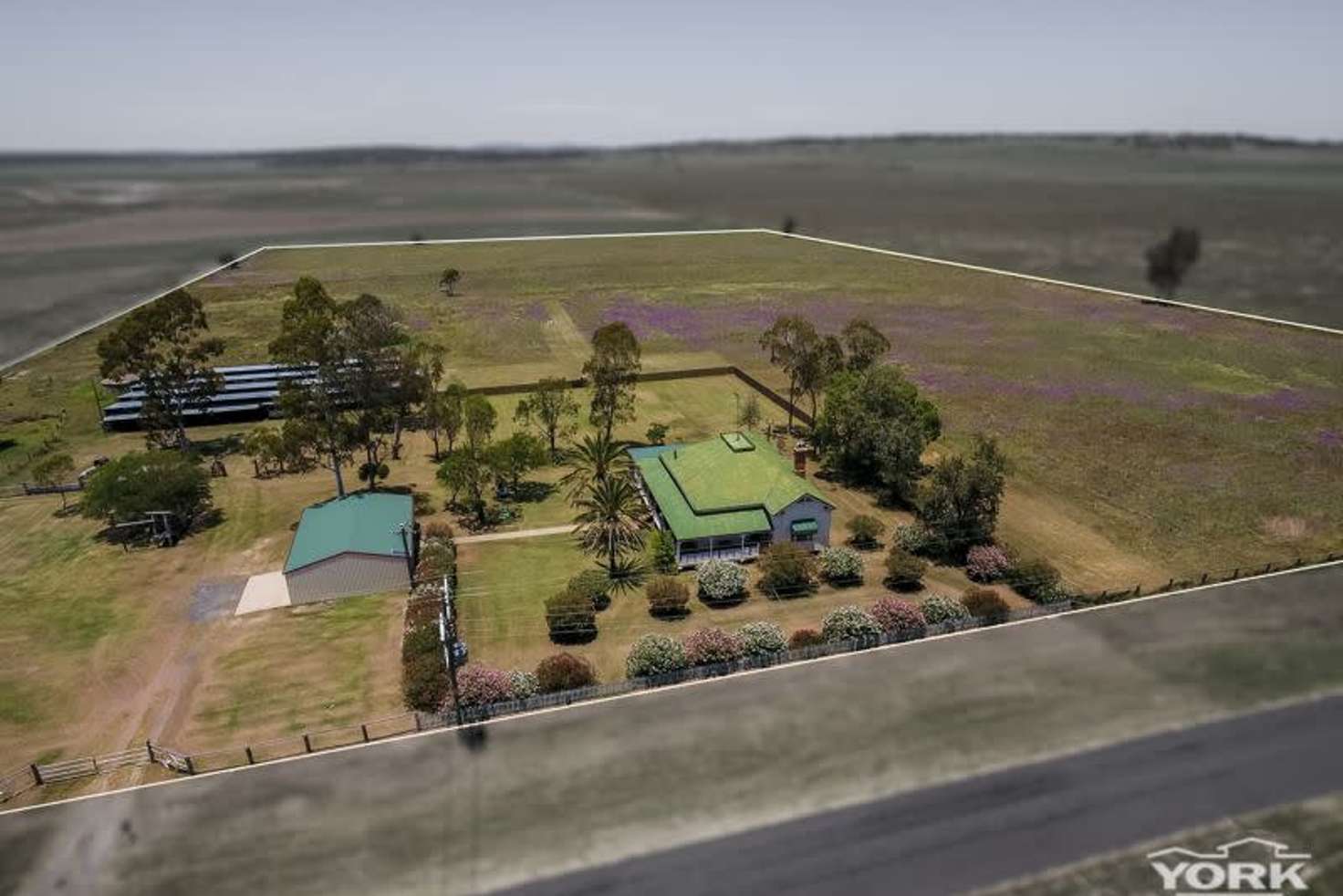 Main view of Homely ruralOther listing, 949 Clifton Pittsworth Road, Back Plains QLD 4361
