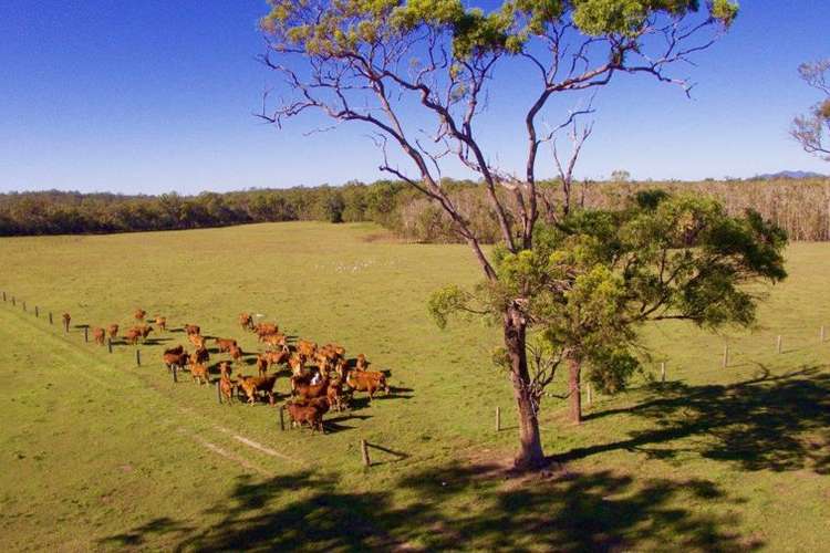 Seventh view of Homely lifestyle listing, 108 Kenree Road, Rosedale QLD 4674