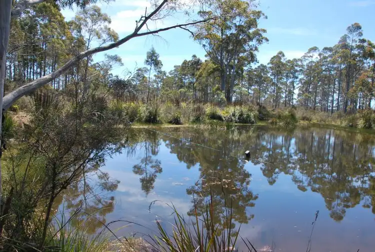 Seventh view of Homely rural property listing, 1749 Nugent Road, Nugent TAS 7172
