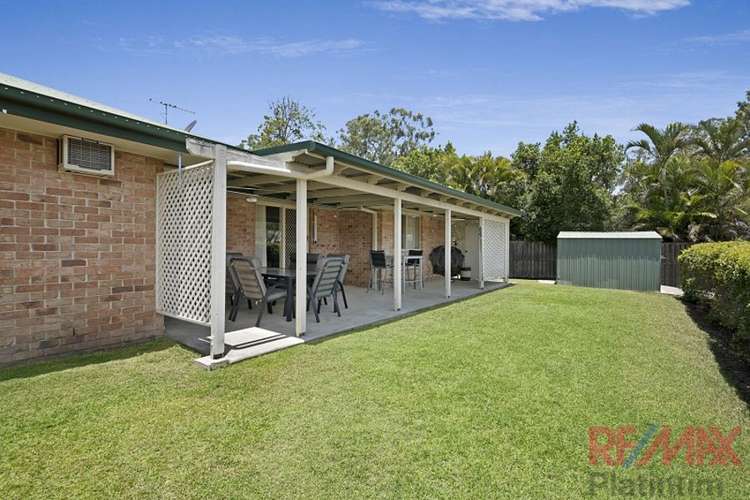 Main view of Homely house listing, 4 Bentwing Court, Narangba QLD 4504