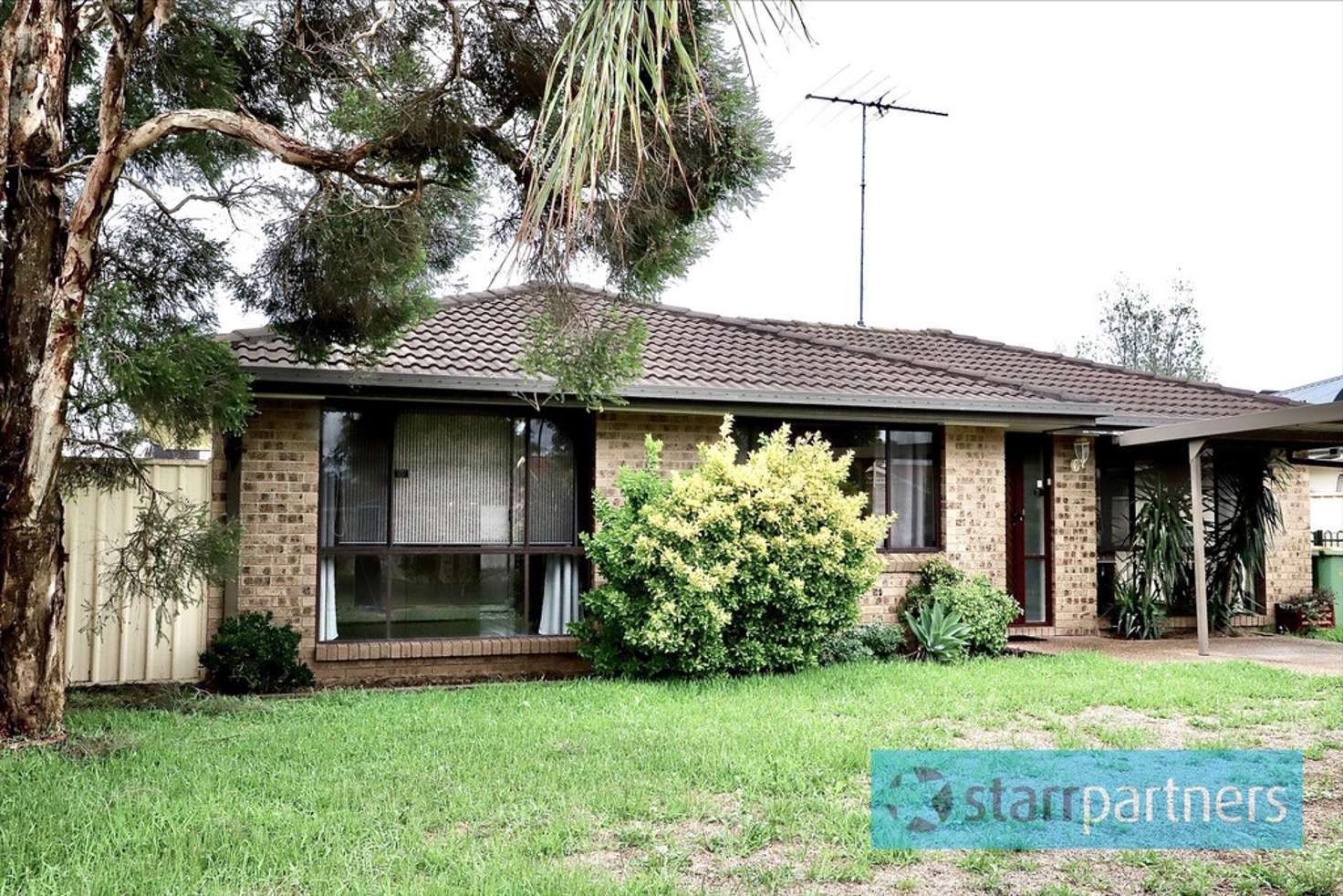 Main view of Homely house listing, 3 Settlers Cres, Bligh Park NSW 2756