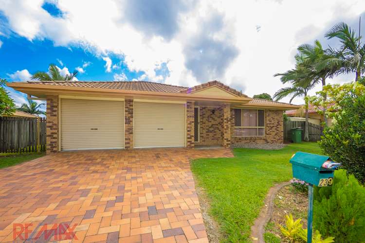 Main view of Homely house listing, 239 Dohles Rocks Rd, Murrumba Downs QLD 4503