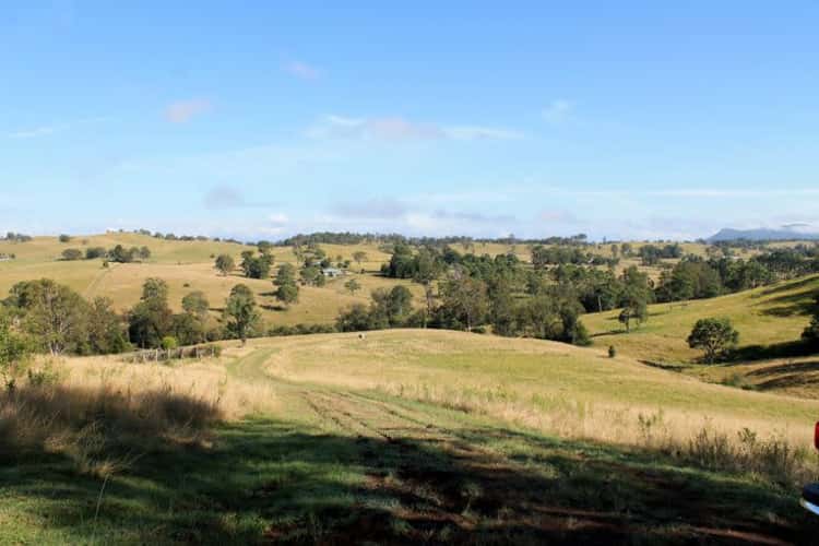 Third view of Homely ruralOther listing, 214 Homeleigh Road, Homeleigh, Kyogle NSW 2474