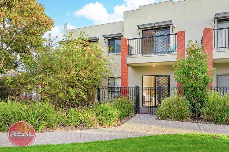 Main view of Homely house listing, 3/20 Macmillan Avenue, Mawson Lakes SA 5095