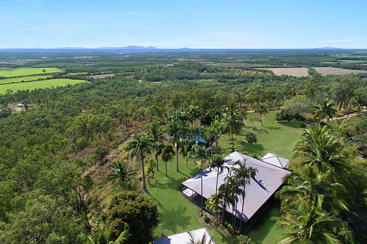 Main view of Homely acreageSemiRural listing, 124 Probert Road, Bambaroo QLD 4850
