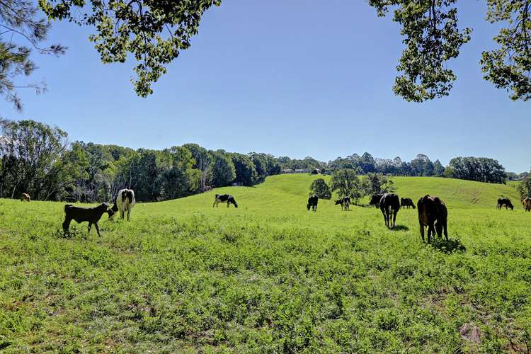 Fifth view of Homely house listing, 524 North Bank Road, Bellingen NSW 2454