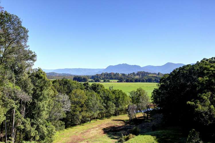 Seventh view of Homely house listing, 524 North Bank Road, Bellingen NSW 2454