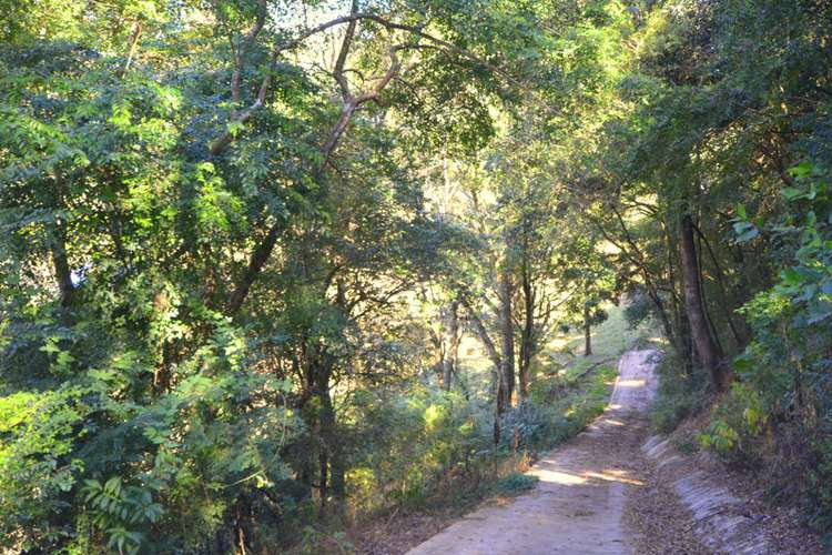 Fifth view of Homely residentialLand listing, Lot 7 Gardners Lane, North Maleny QLD 4552