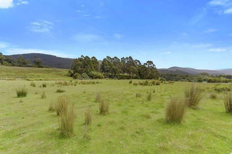 Fifth view of Homely residentialLand listing, 199 Lookout Road, Port Arthur TAS 7182