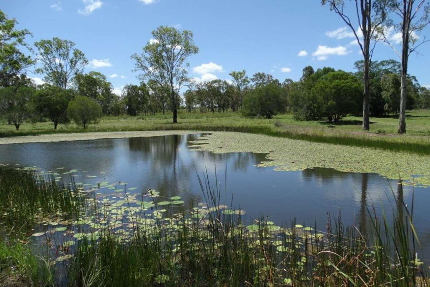 Main view of Homely lifestyle listing, Lot 62 Taunton Road, Euleilah QLD 4674