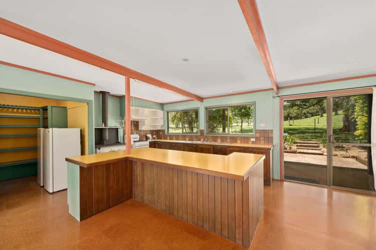 Sixth view of Homely acreageSemiRural listing, 1471 Darkwood Road, Bellingen NSW 2454