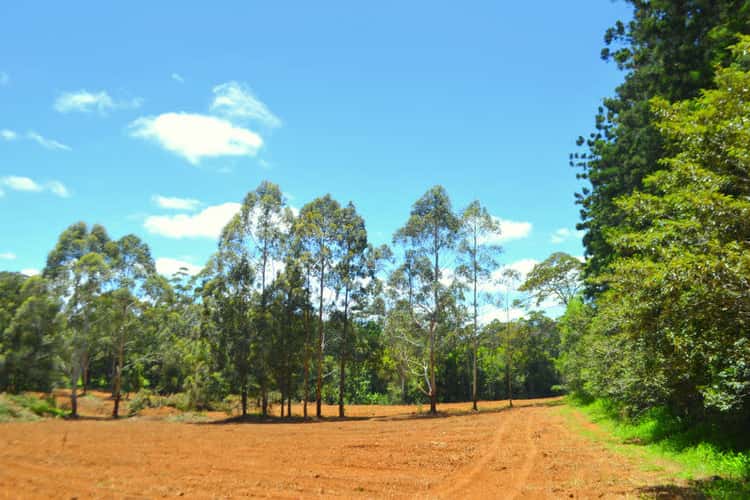 Fourth view of Homely residentialLand listing, 937 Maleny-Stanley River Road, Booroobin QLD 4552