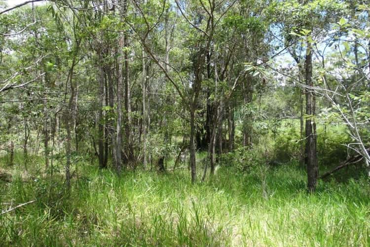 Fifth view of Homely lifestyle listing, Lot 4 Lowmead Road, Lowmead QLD 4676