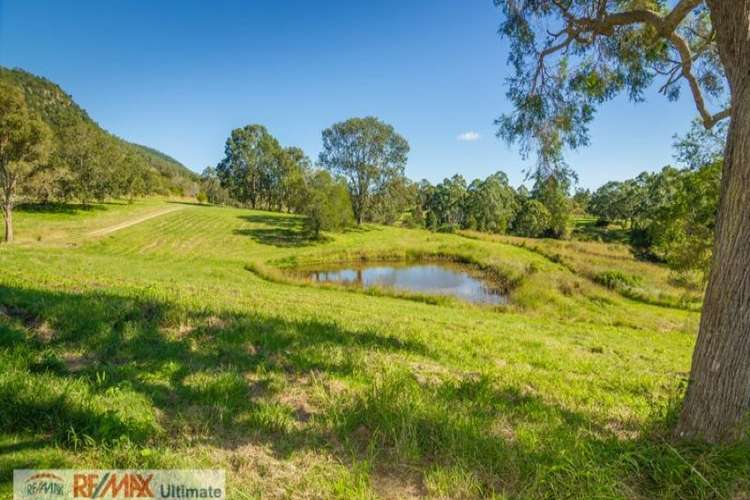 Fourth view of Homely acreageSemiRural listing, 49 Myleema Road, Mount Archer QLD 4514