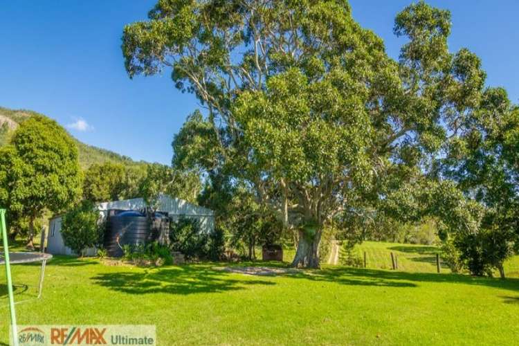 Sixth view of Homely acreageSemiRural listing, 49 Myleema Road, Mount Archer QLD 4514