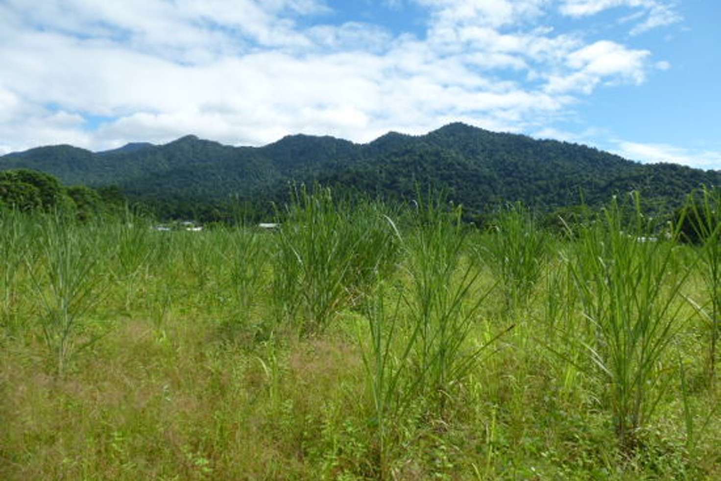 Main view of Homely residentialLand listing, 1 The Boulders Road, Babinda QLD 4861