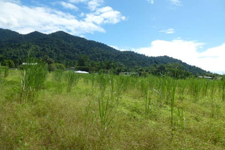 Fifth view of Homely residentialLand listing, 1 The Boulders Road, Babinda QLD 4861