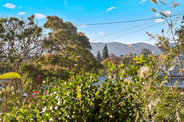 Fifth view of Homely house listing, 10 Northcote Street, Bellingen NSW 2454