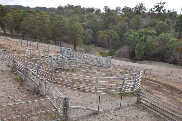 Fifth view of Homely livestock listing, Address available on request