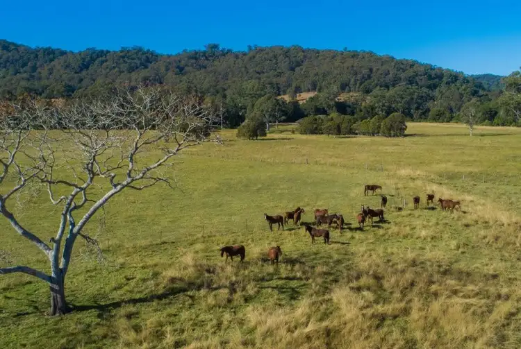 301 Gum Scrub ROad, Gum Scrub NSW 2441