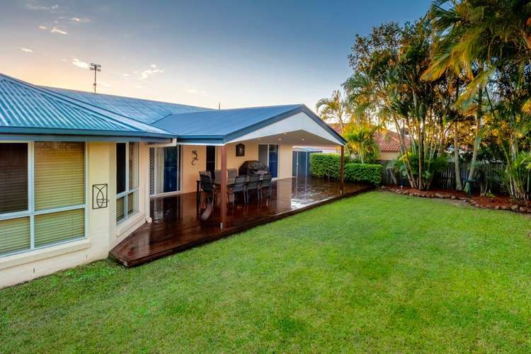 Main view of Homely house listing, 7 Highclare Crt, Little Mountain QLD 4551