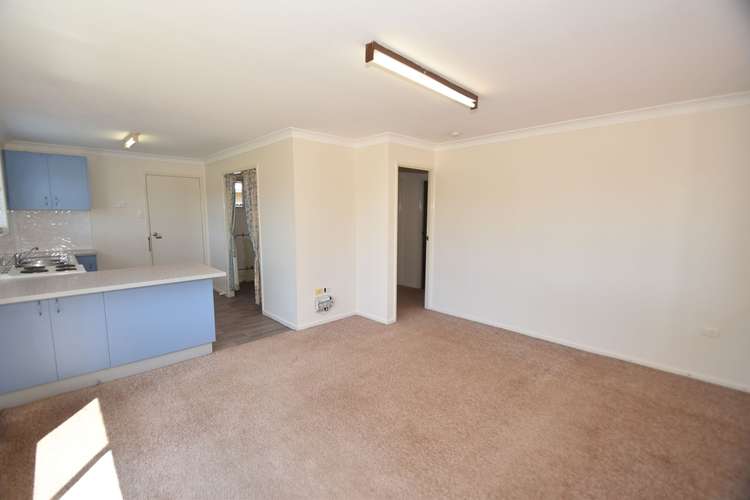 Third view of Homely unit listing, 1/9 Marigold Street, Centenary Heights QLD 4350