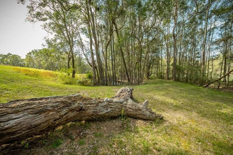 Fourth view of Homely farmlet listing, 52 Ruttleys Road, Wyee NSW 2259