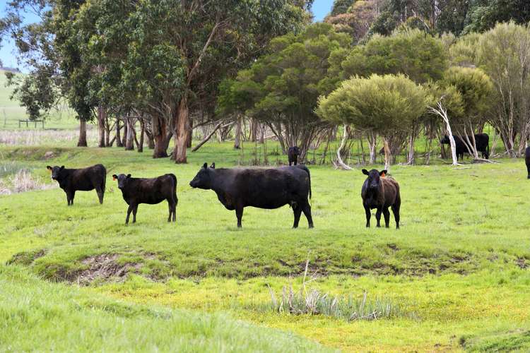 Main view of Homely livestock listing, 975 Birregurra-Deans Marsh Road, Birregurra VIC 3242
