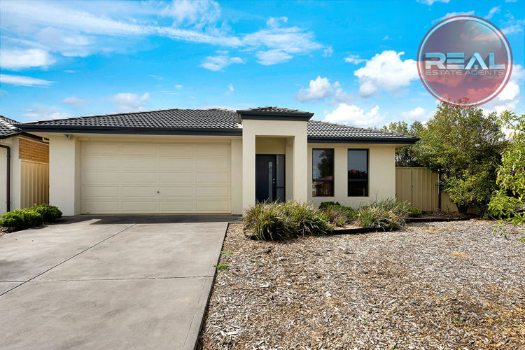 Second view of Homely house listing, 11 Pintillo Court, Burton SA 5110