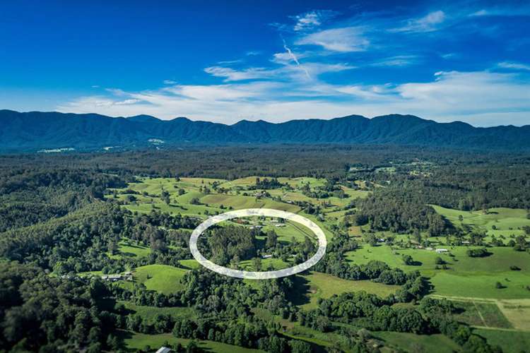 Second view of Homely acreageSemiRural listing, 241 Hydes Creek Road, Bellingen NSW 2454