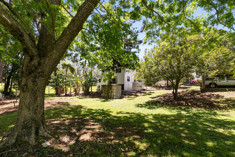 Third view of Homely house listing, 807 Cooloolabin Road, Cooloolabin QLD 4560