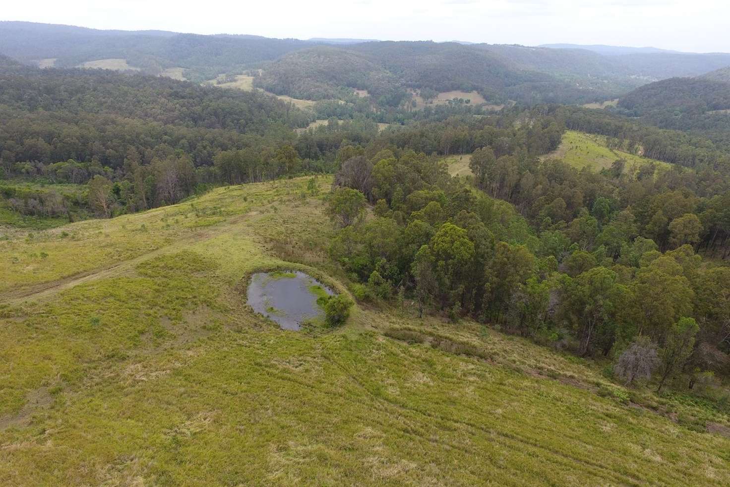 Main view of Homely livestock listing, Lot 171 Peacock Creek Road, Bonalbo NSW 2469