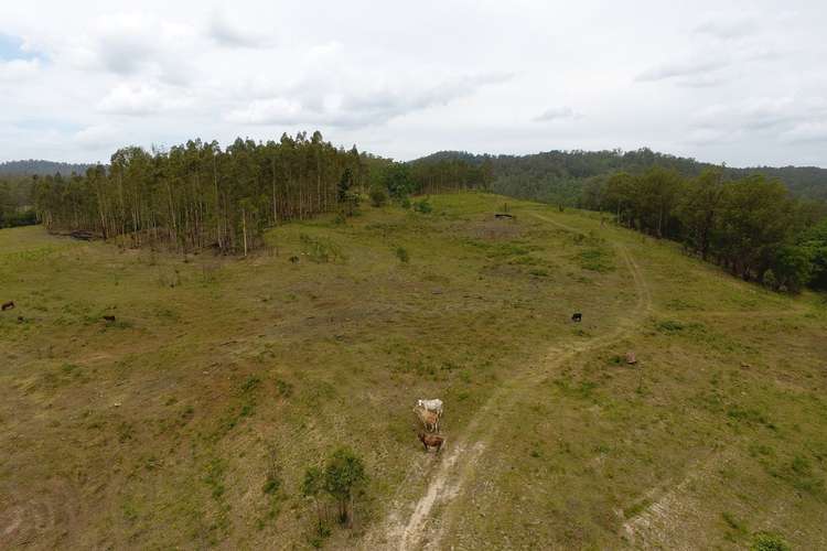 Fifth view of Homely livestock listing, Lot 171 Peacock Creek Road, Bonalbo NSW 2469