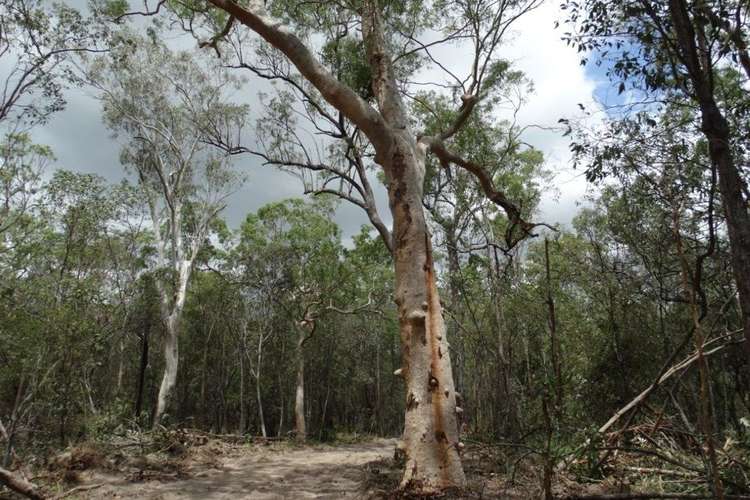 Main view of Homely lifestyle listing, Lot 74 Mitchell Road, Mount Maria QLD 4674