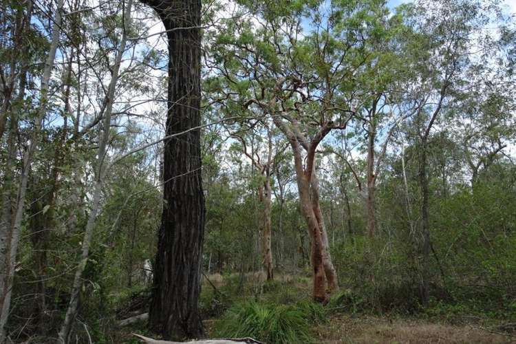 Seventh view of Homely lifestyle listing, Lot 74 Mitchell Road, Mount Maria QLD 4674