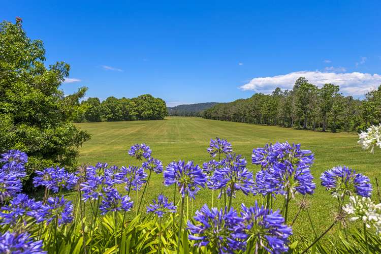 Fourth view of Homely acreageSemiRural listing, 278 North Bank Road, Bellingen NSW 2454