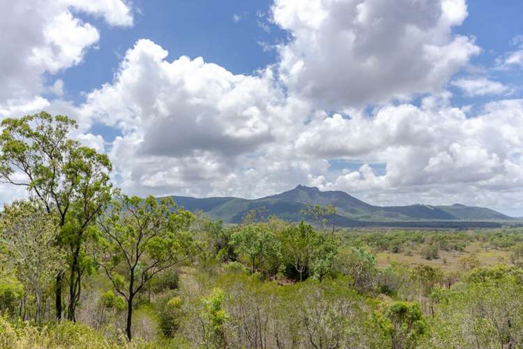 Second view of Homely house listing, 592 The Narrows Road, Mount Larcom QLD 4695