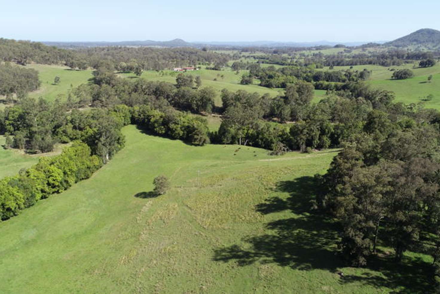 Main view of Homely ruralOther listing, Lot 160 Mooral Creek Road, Wingham NSW 2429
