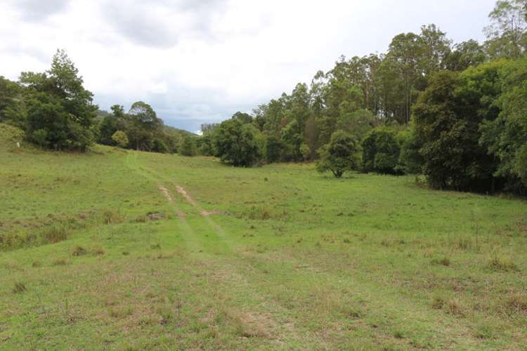Second view of Homely ruralOther listing, Lot 160 Mooral Creek Road, Wingham NSW 2429