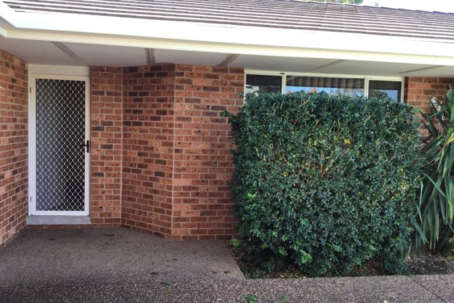 Main view of Homely unit listing, 3/17 Illoura Street, Tamworth NSW 2340